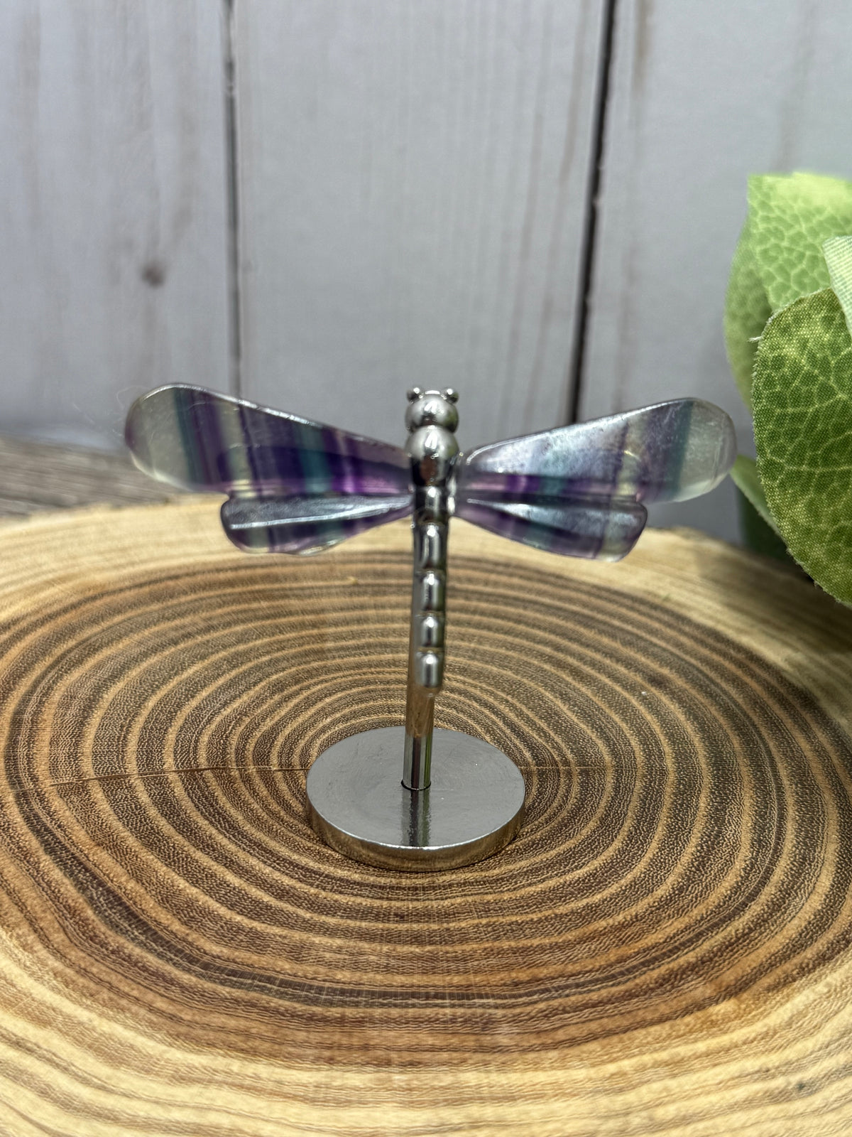 Small Dragonfly Wings on Stand - Fluorite