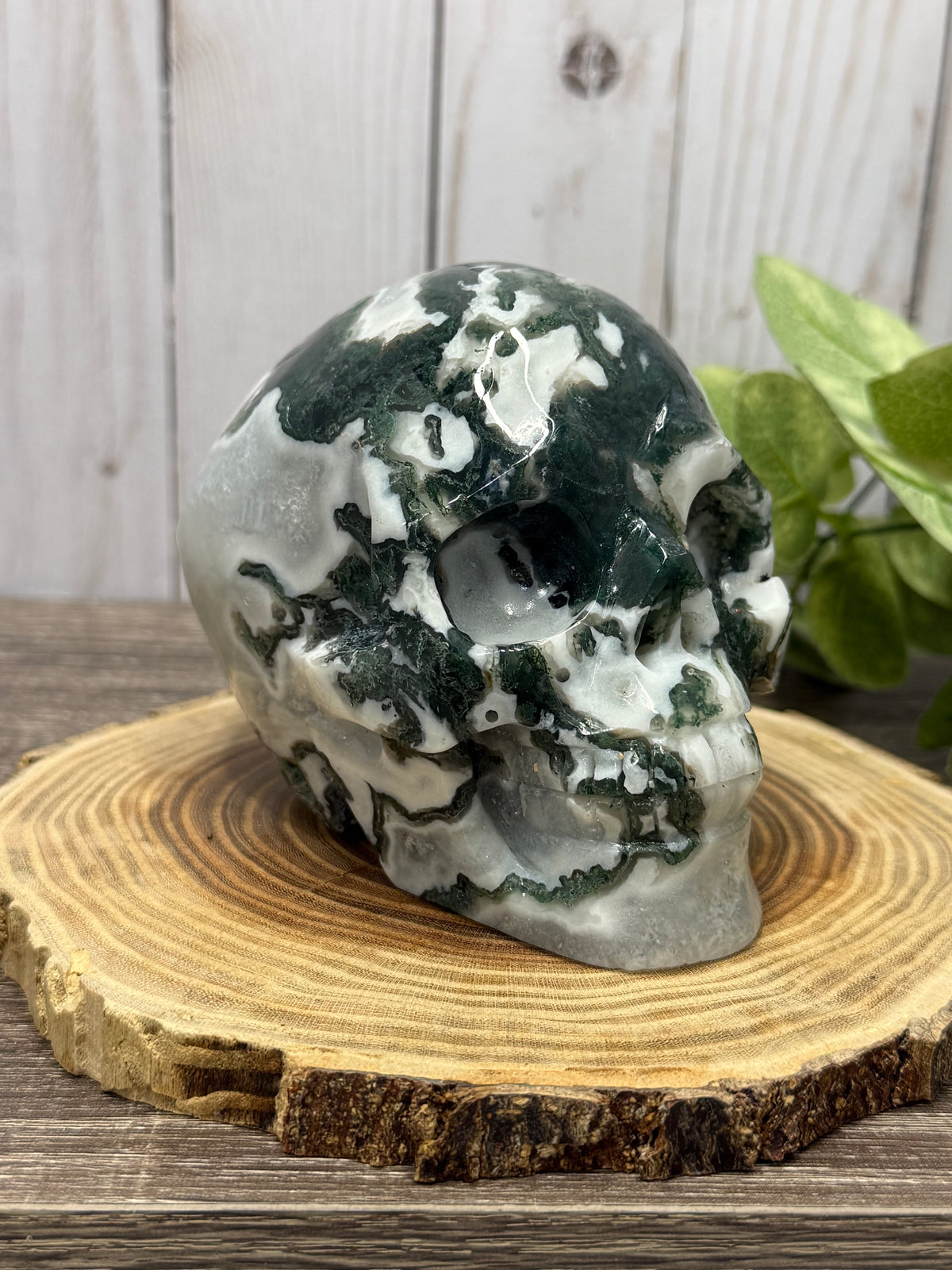 Large Moss Agate Skull