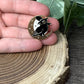 Bird with Witch Hat and Moon Pin