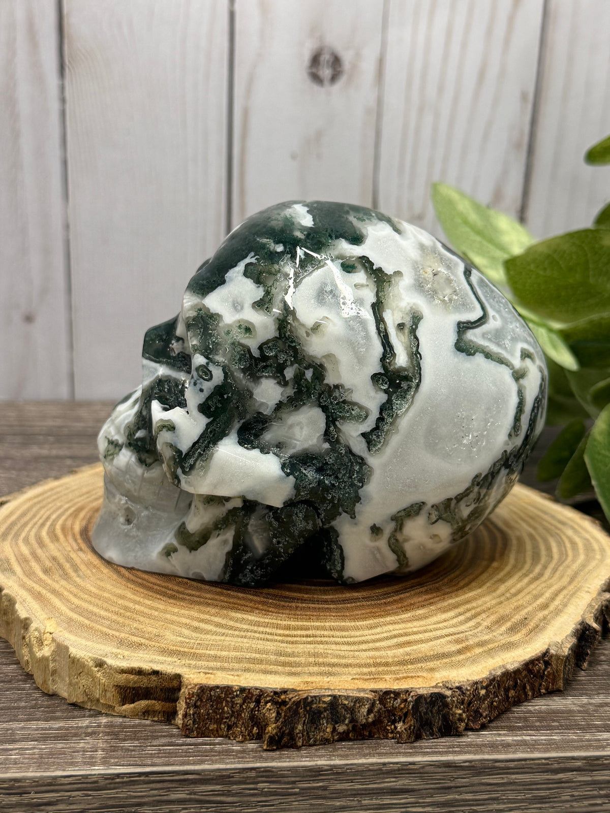 Large Moss Agate Skull