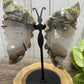 Large Butterfly Wings on Stand - Lava Agate