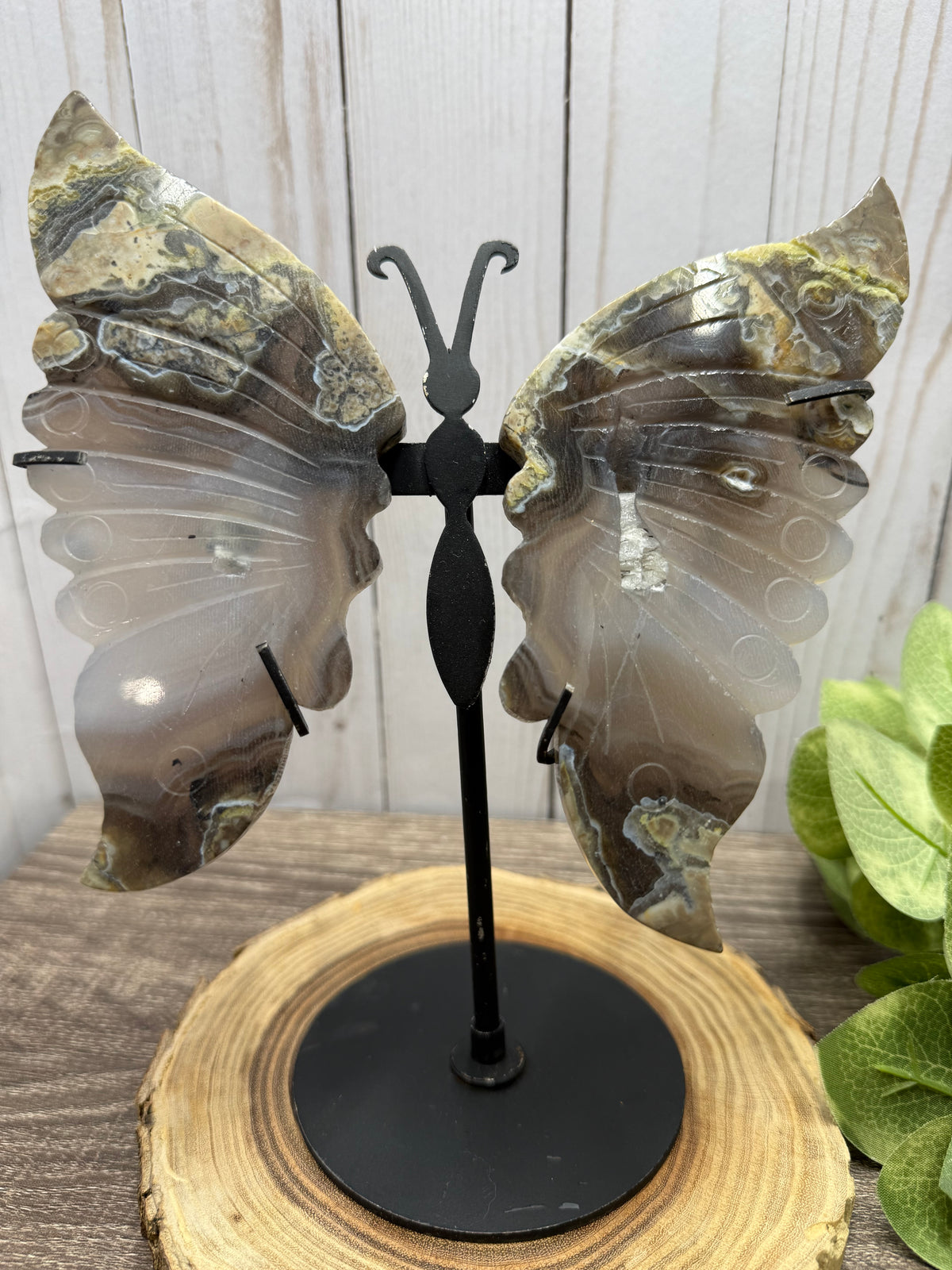 Large Butterfly Wings on Stand - Lava Agate
