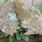 Flower Agate Angel Wings with Stand