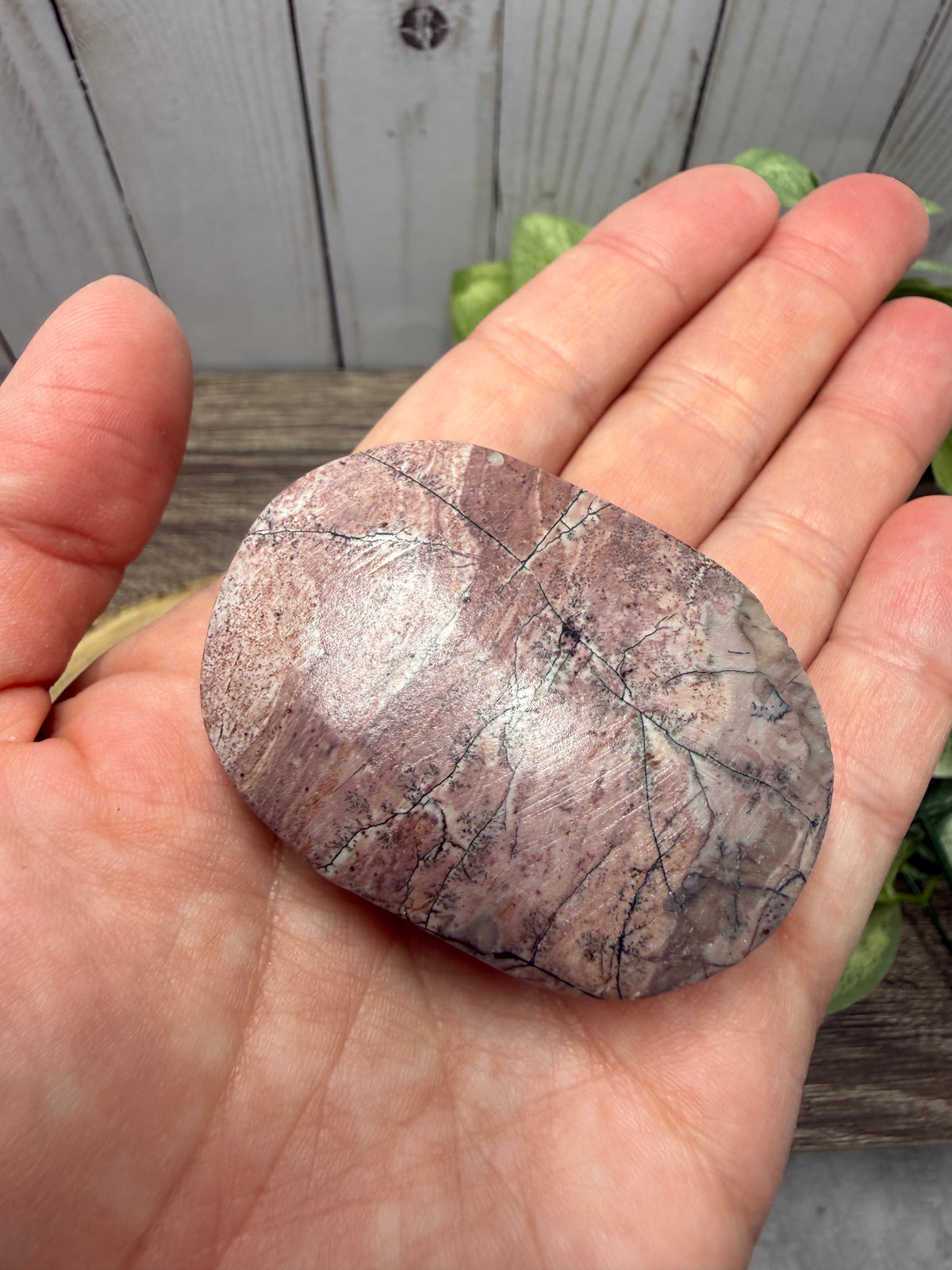 Picture Jasper Palm Stones