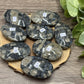 Quesera Palm Stones