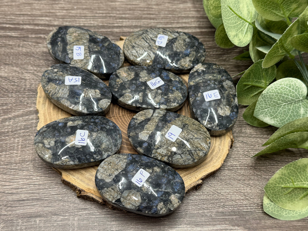 Quesera Palm Stones