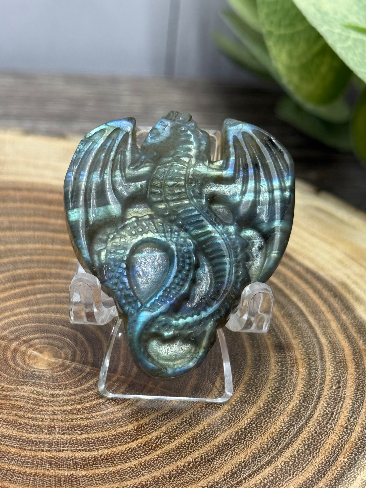 Labradorite Carved Dragons