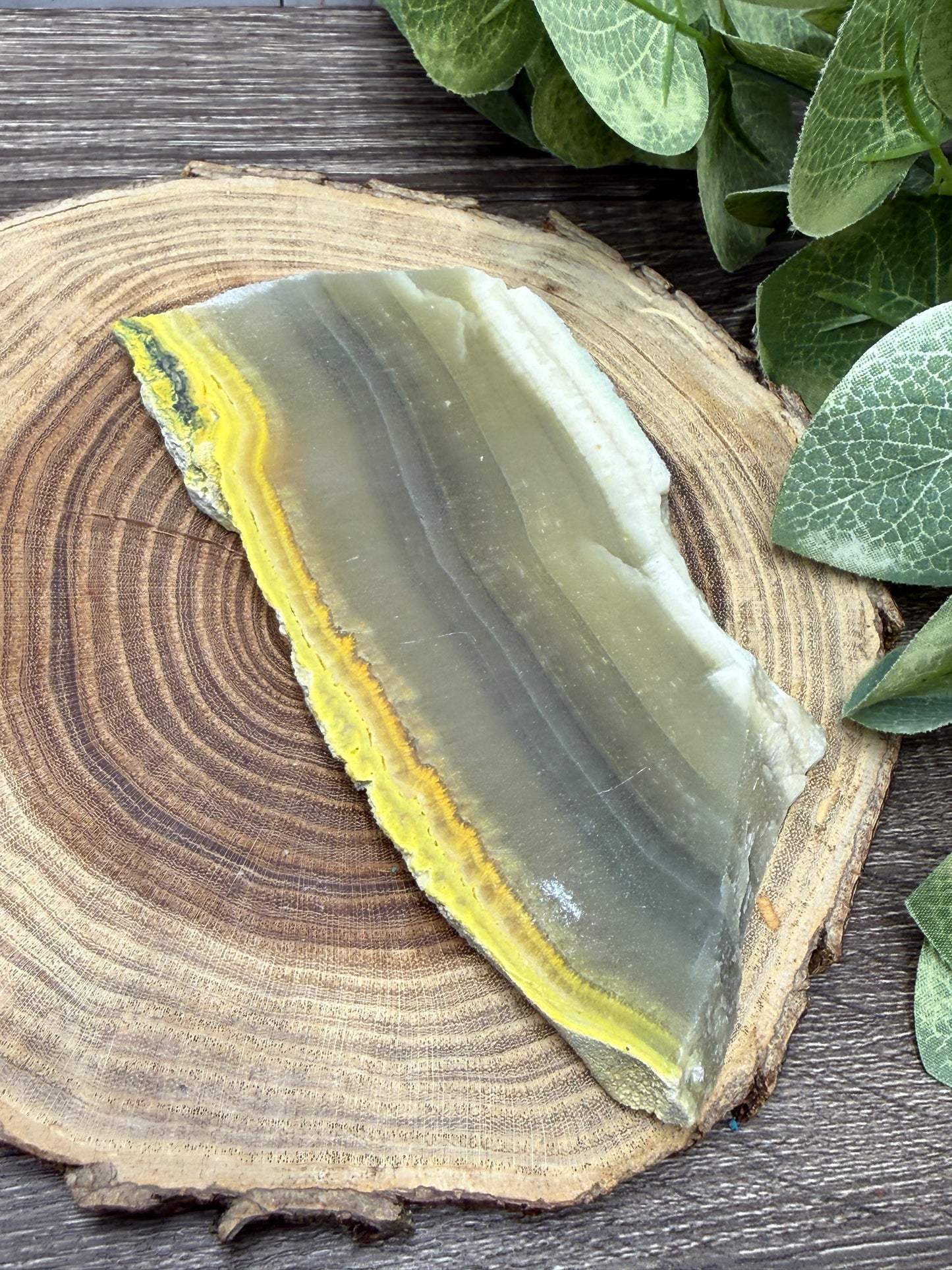 Bumblebee Jasper Slabs