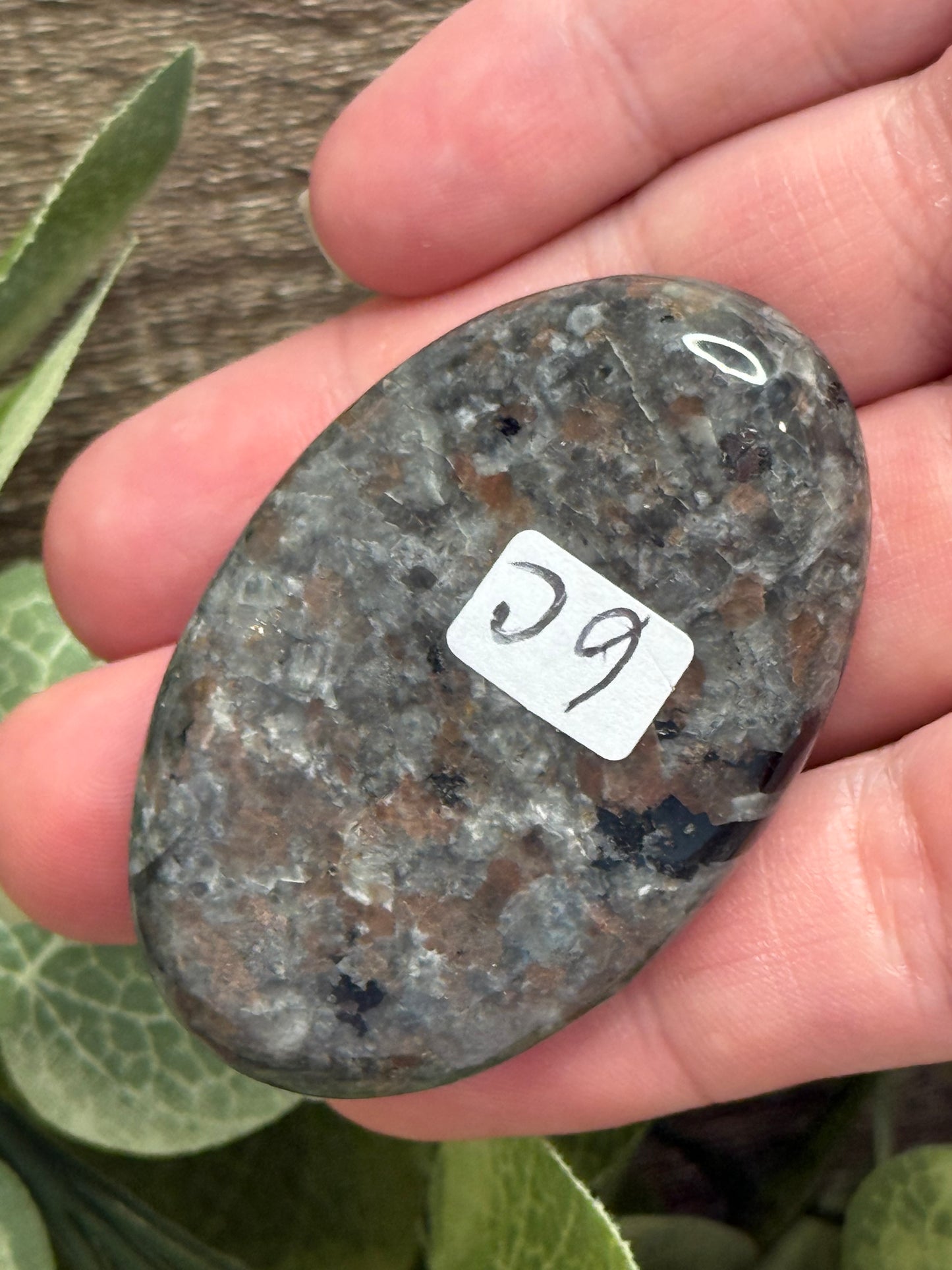 Yooperlite Palm Stones