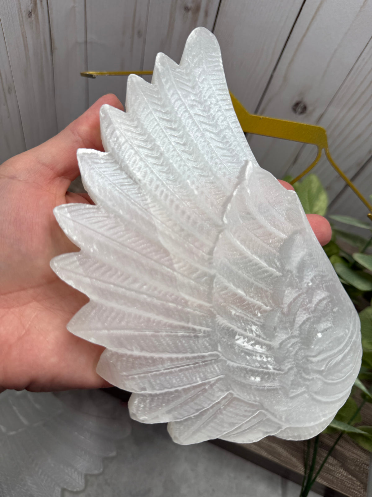 XL Selenite Wings with Stand