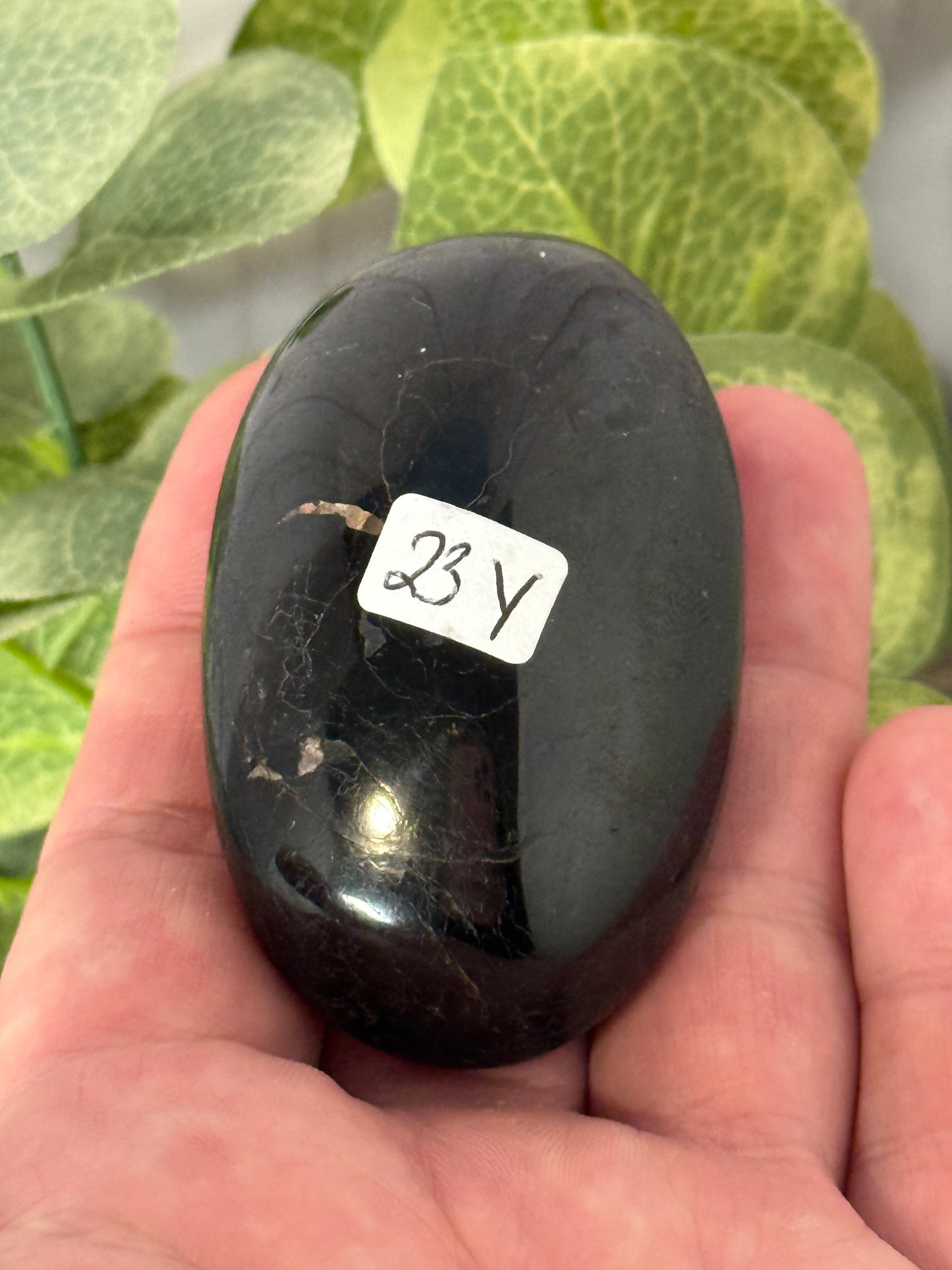 Shungite Palm Stones