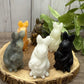 Rabbit Carving - Mom and Baby