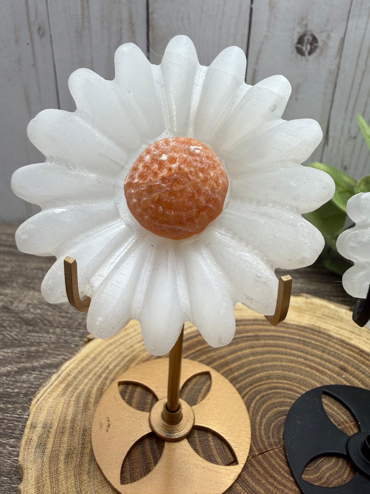 Daisy on Stand - Selenite and orange calcite or tigers eye middles