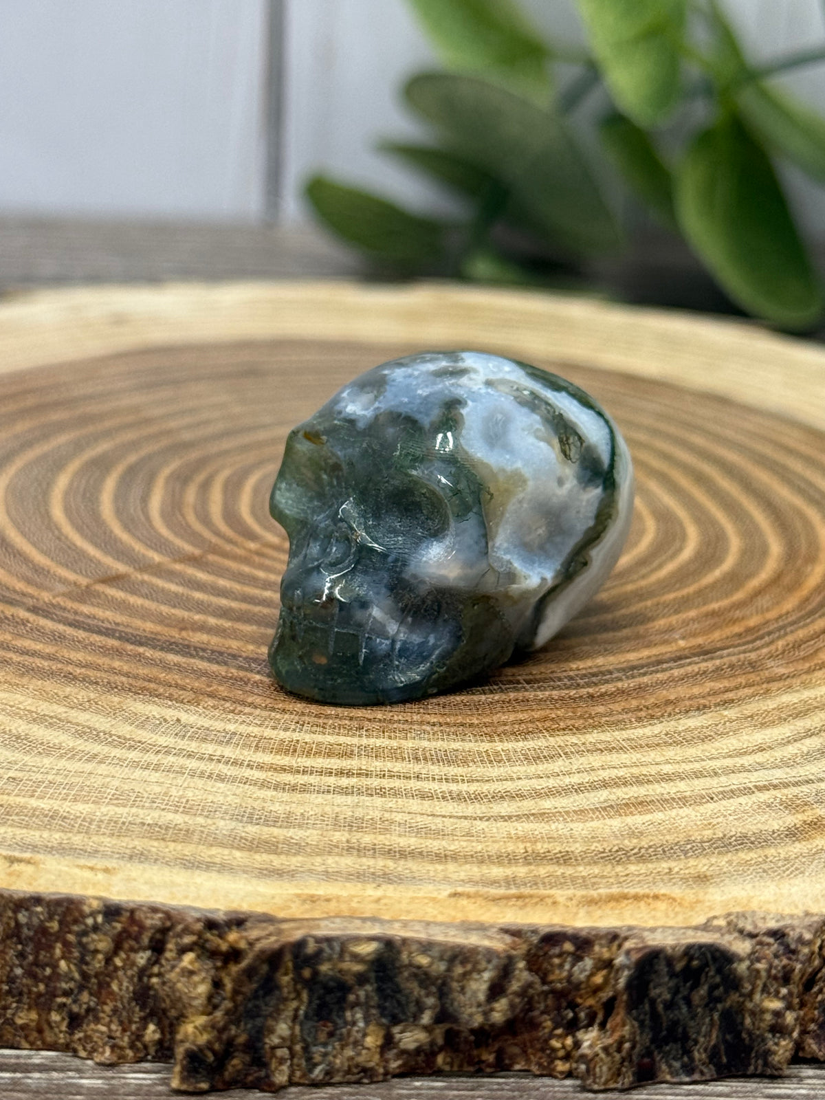 Skull Carvings - small