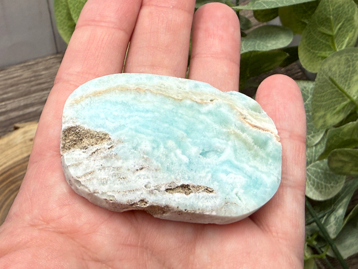 Caribbean Calcite Palm Stones