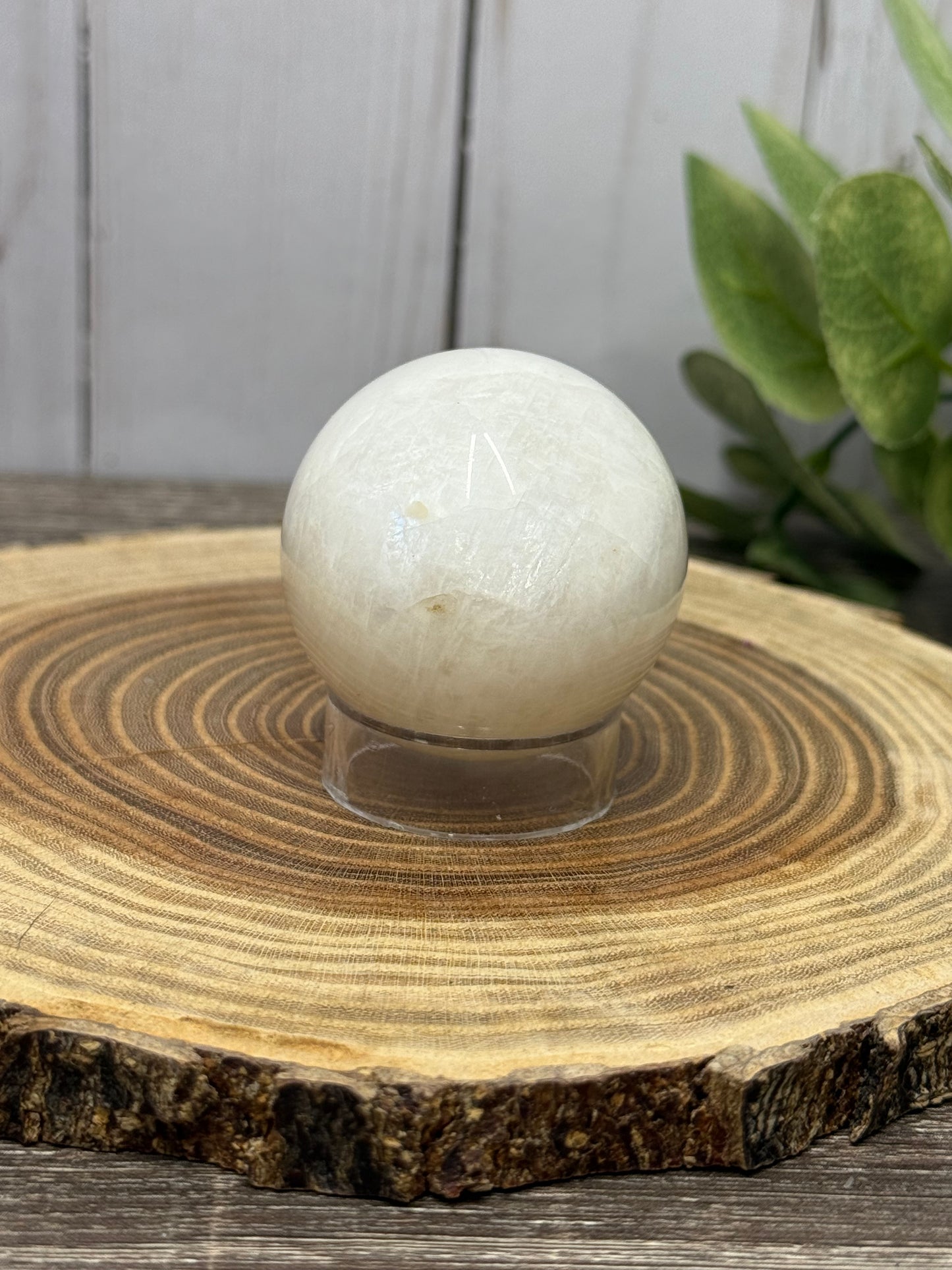 White Moonstone Spheres