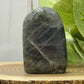 Labradorite Freeforms