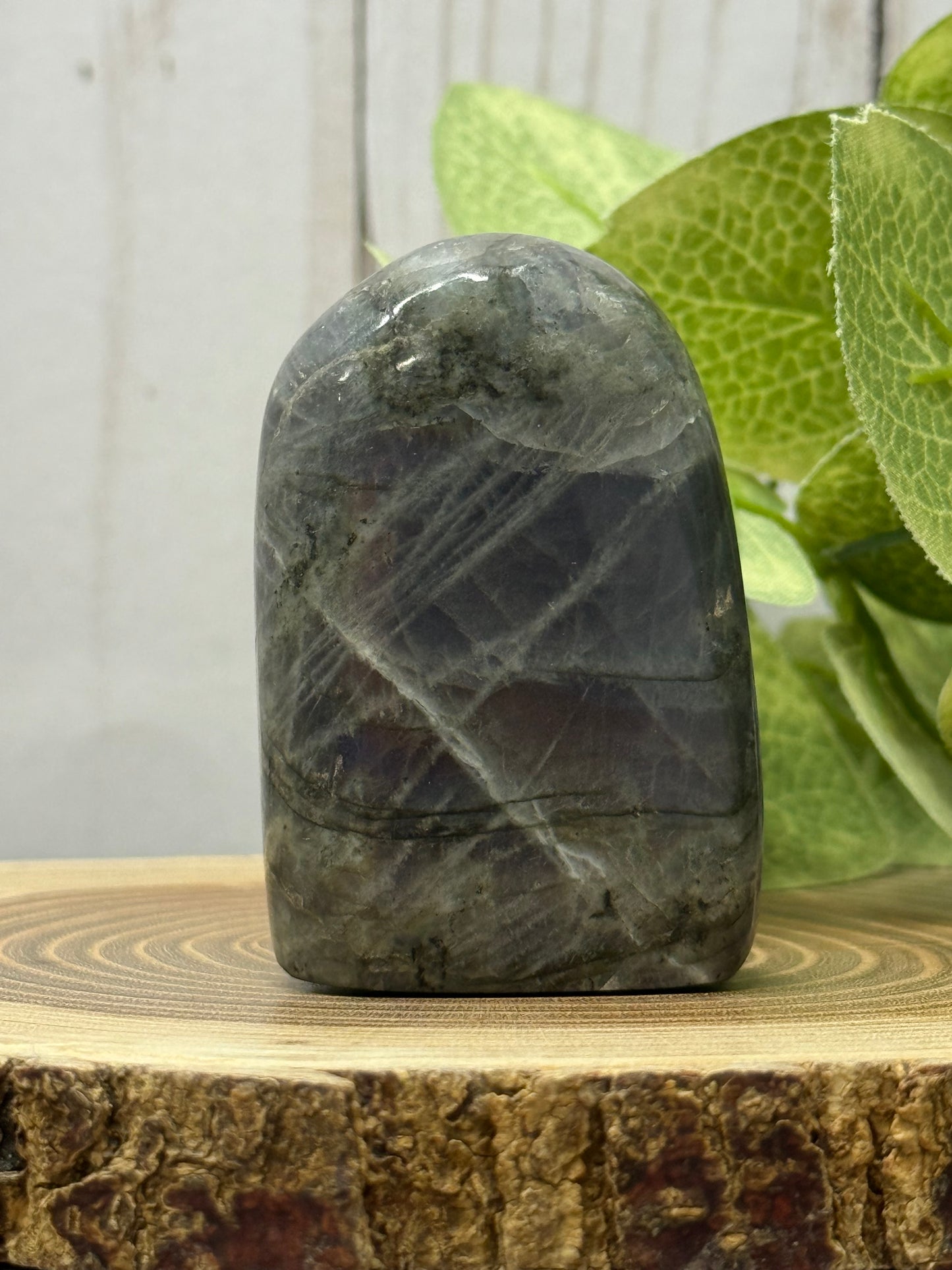 Labradorite Freeforms