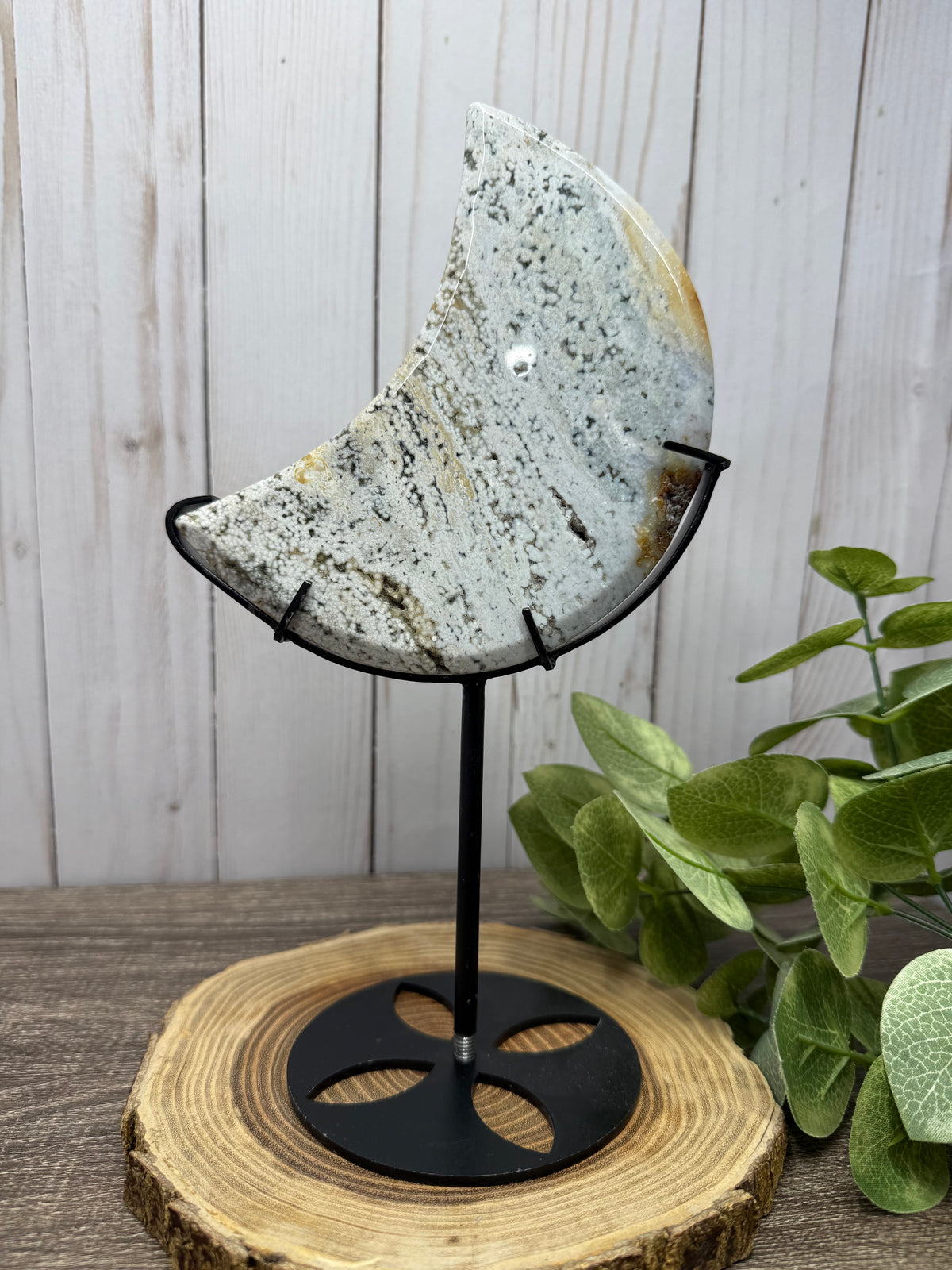 Ocean Jasper Moons on Stands