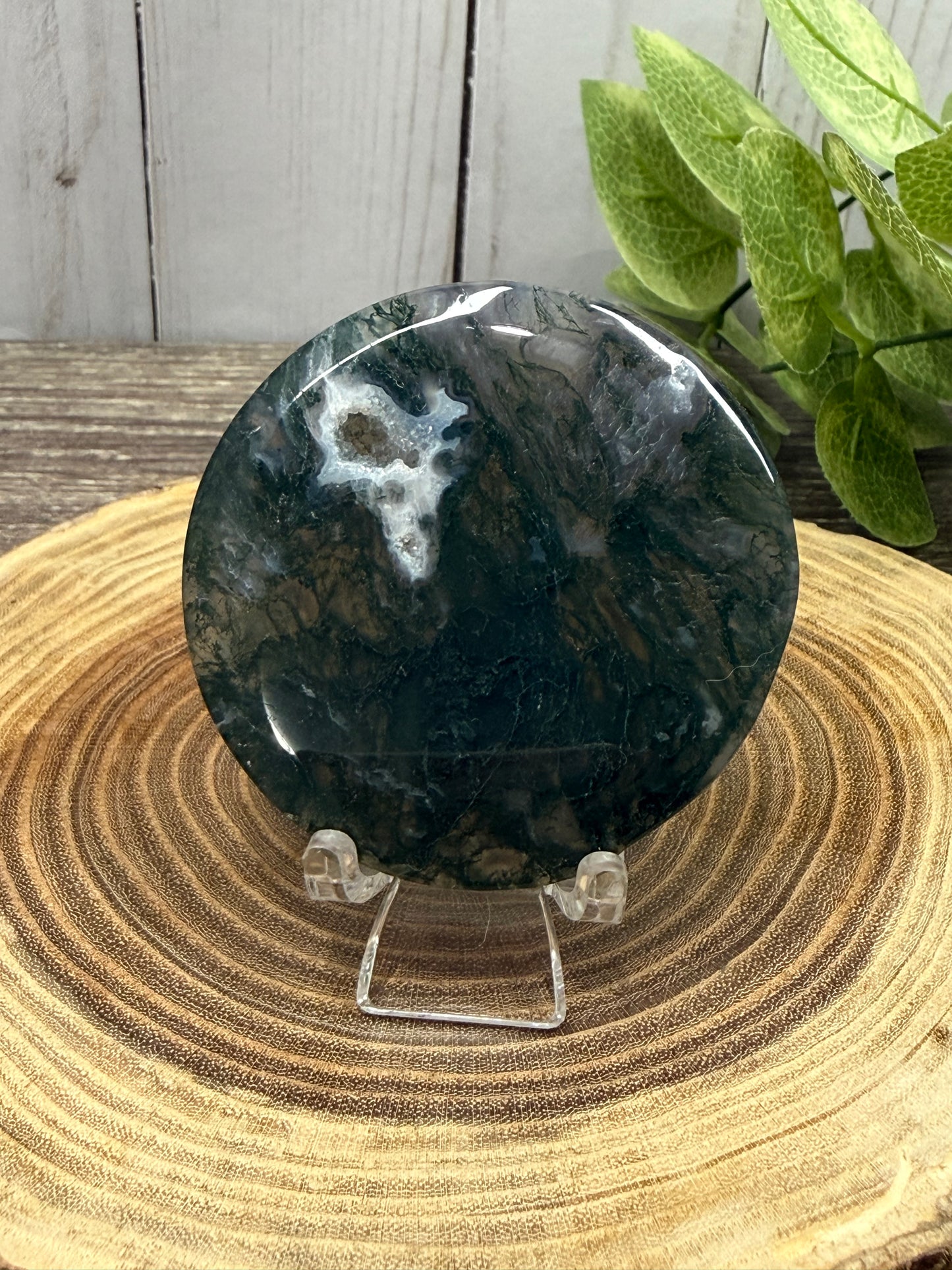Moss Agate Small Disks