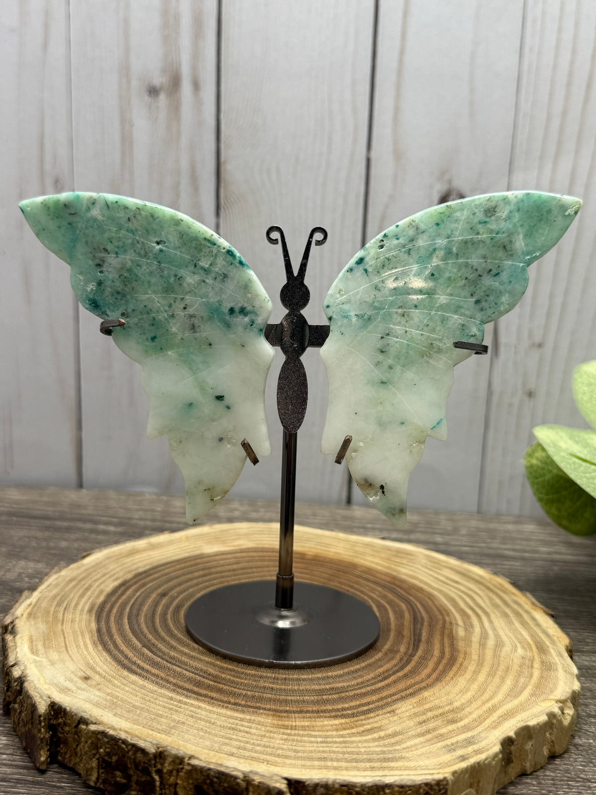 Butterfly Wings on Stand - Phoenix Stone