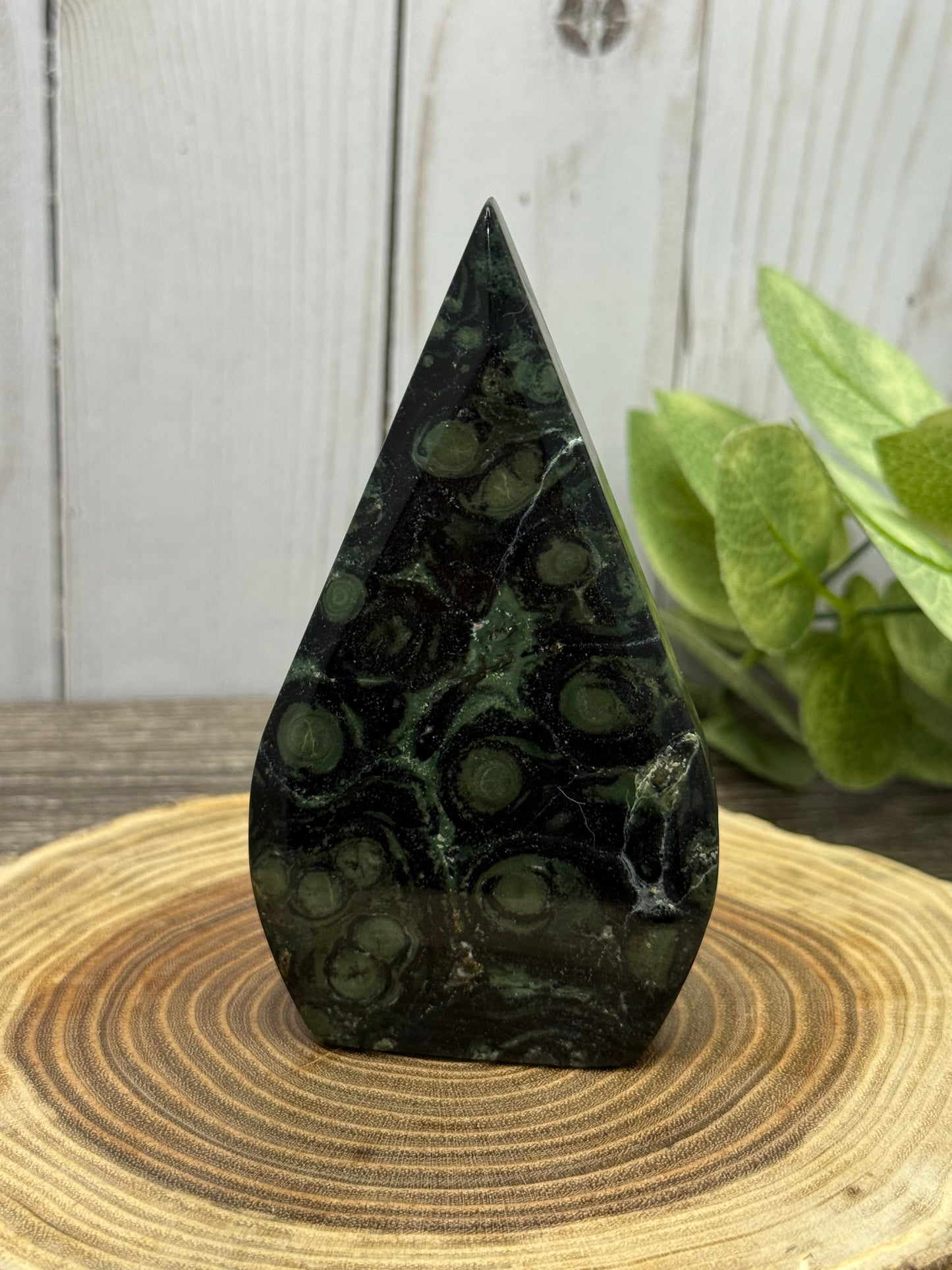 Kambaba Jasper Freeforms