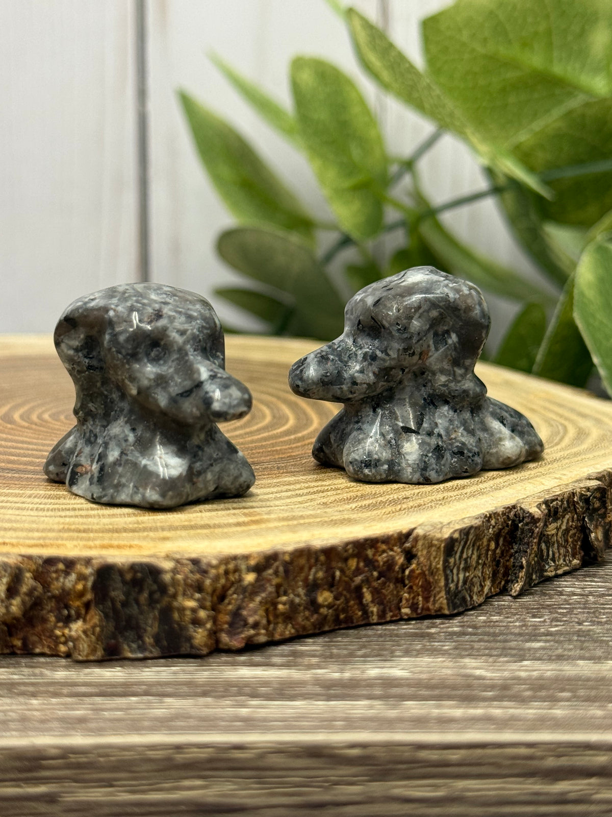 Zero Dog Carvings