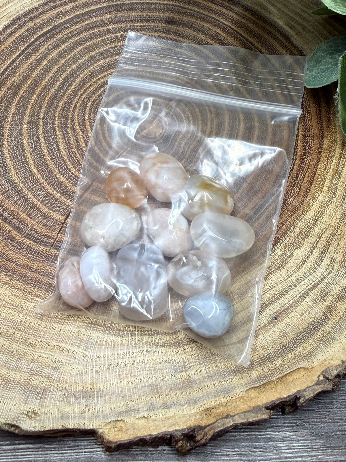 Flower Agate (Large) Crystal Chips