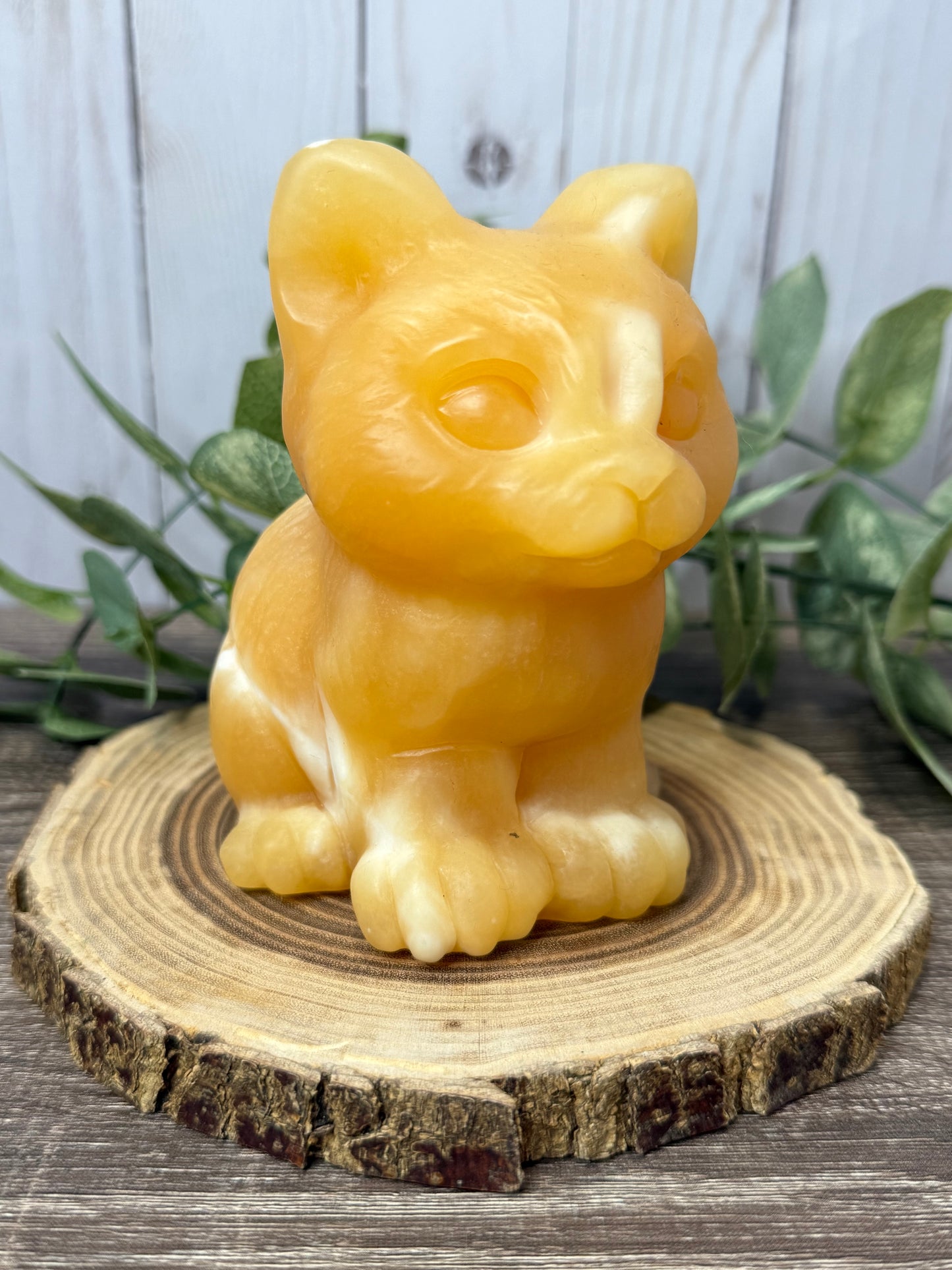 Cat Carvings -Large