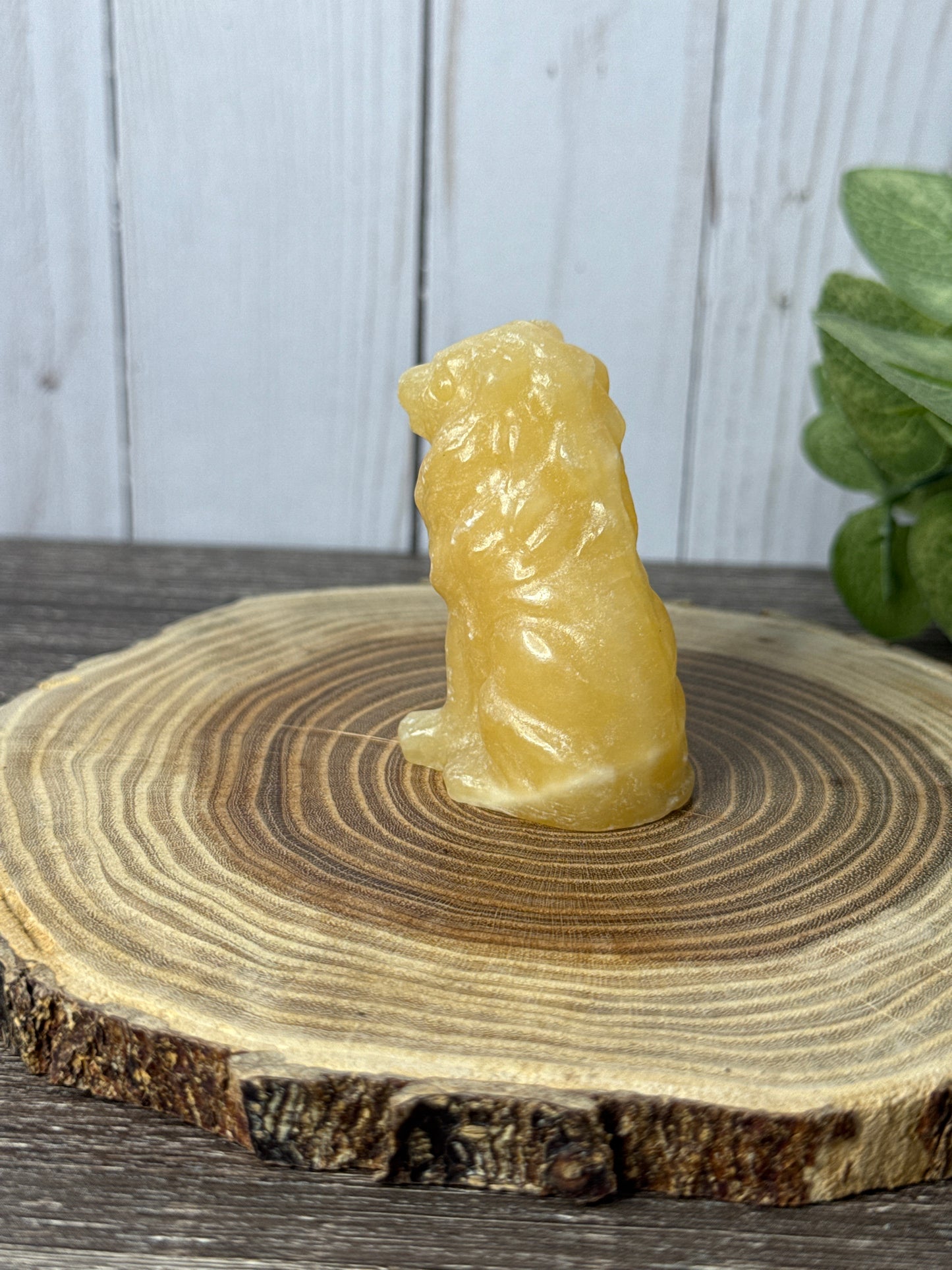 Lion - Orange Calcite