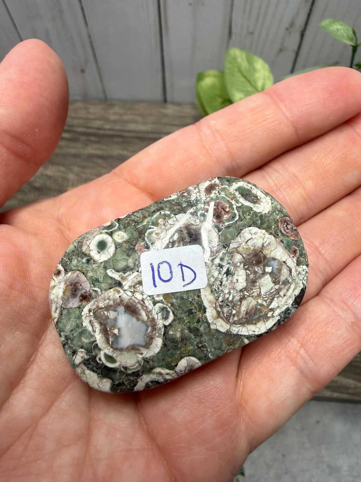 Russian Flower Agate Palm Stones