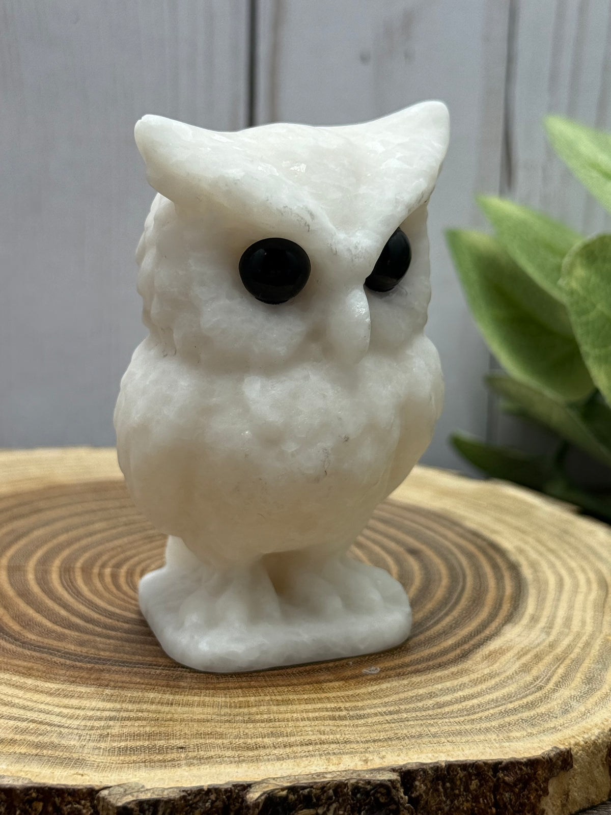 Large Owl Carvings