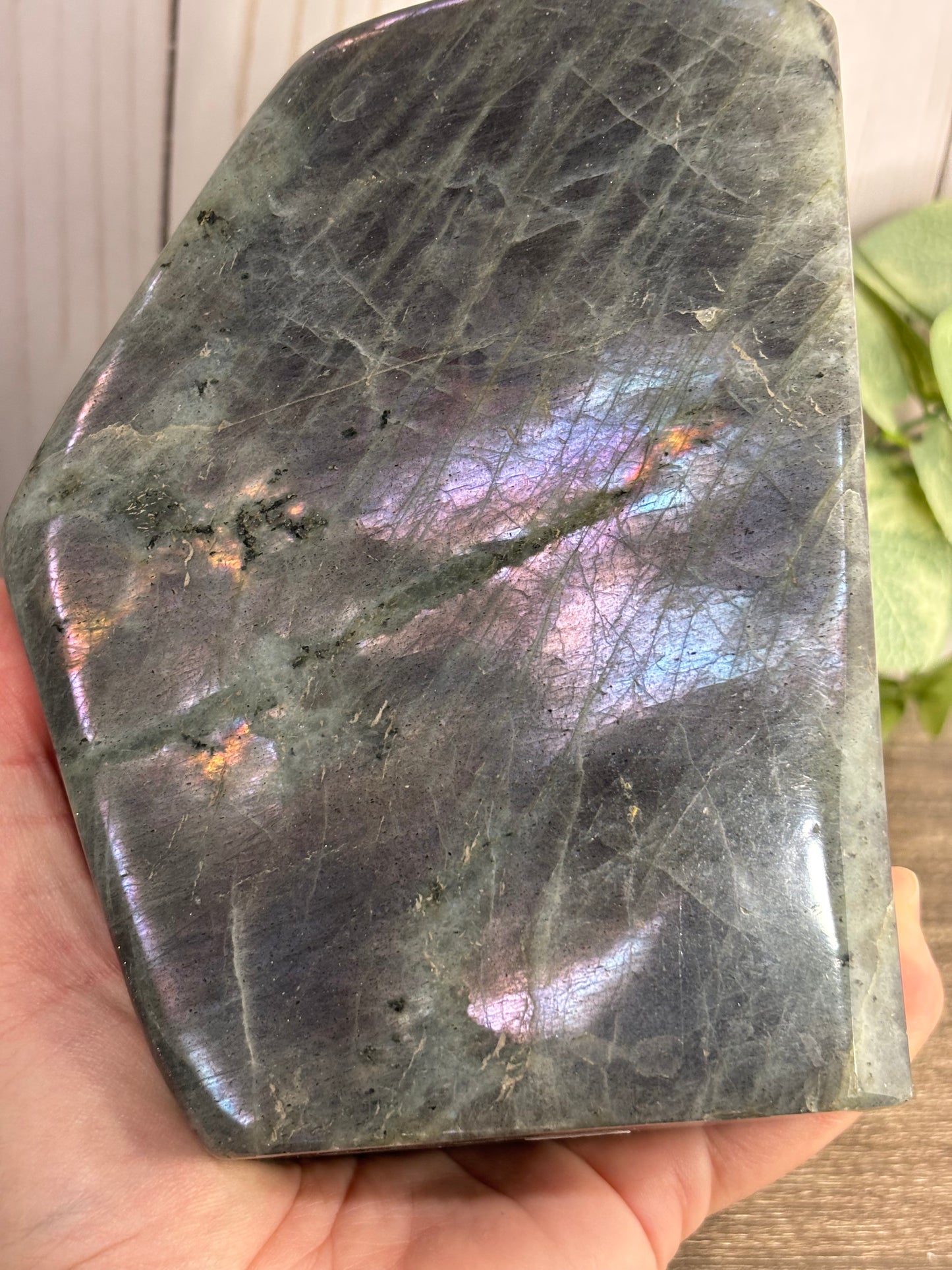 Labradorite Free Forms