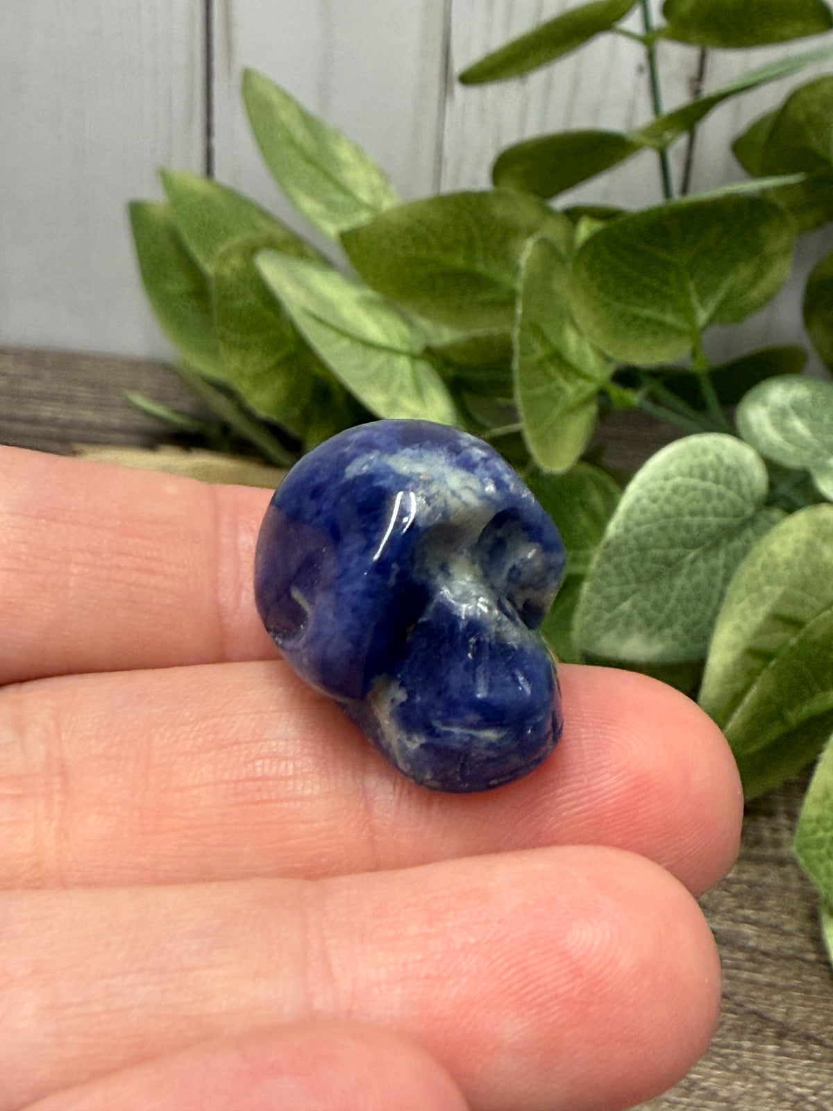 Skull Carvings - Extra Smaill