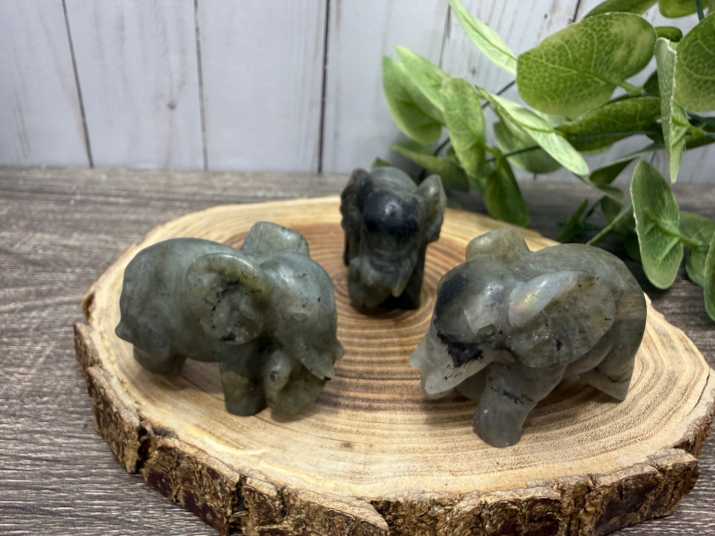 Labradorite Elephant Carvings