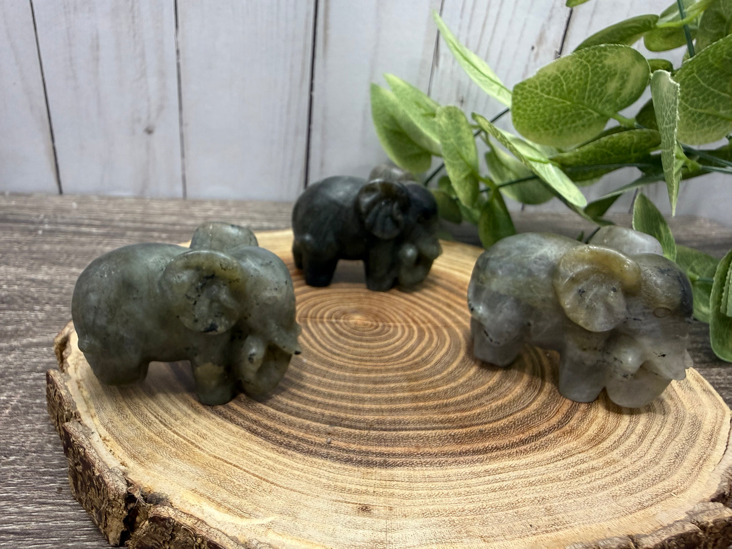 Labradorite Elephant Carvings