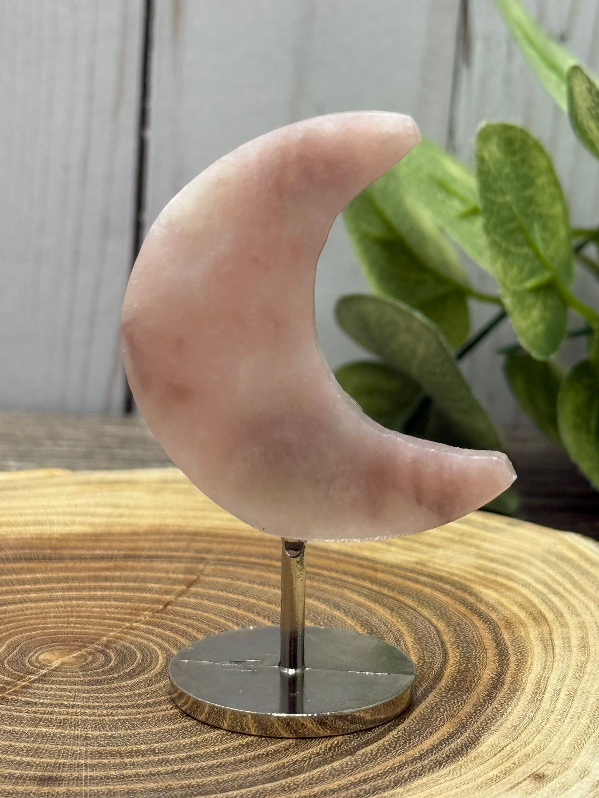 Small Moons on Stands