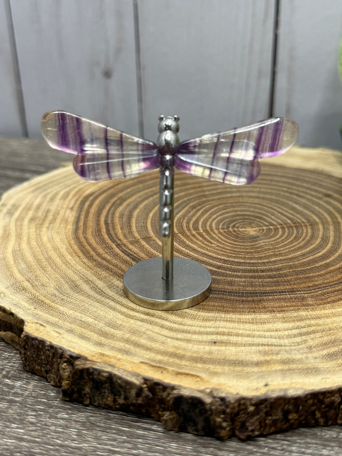 Small Dragonfly Wings on Stand - Fluorite