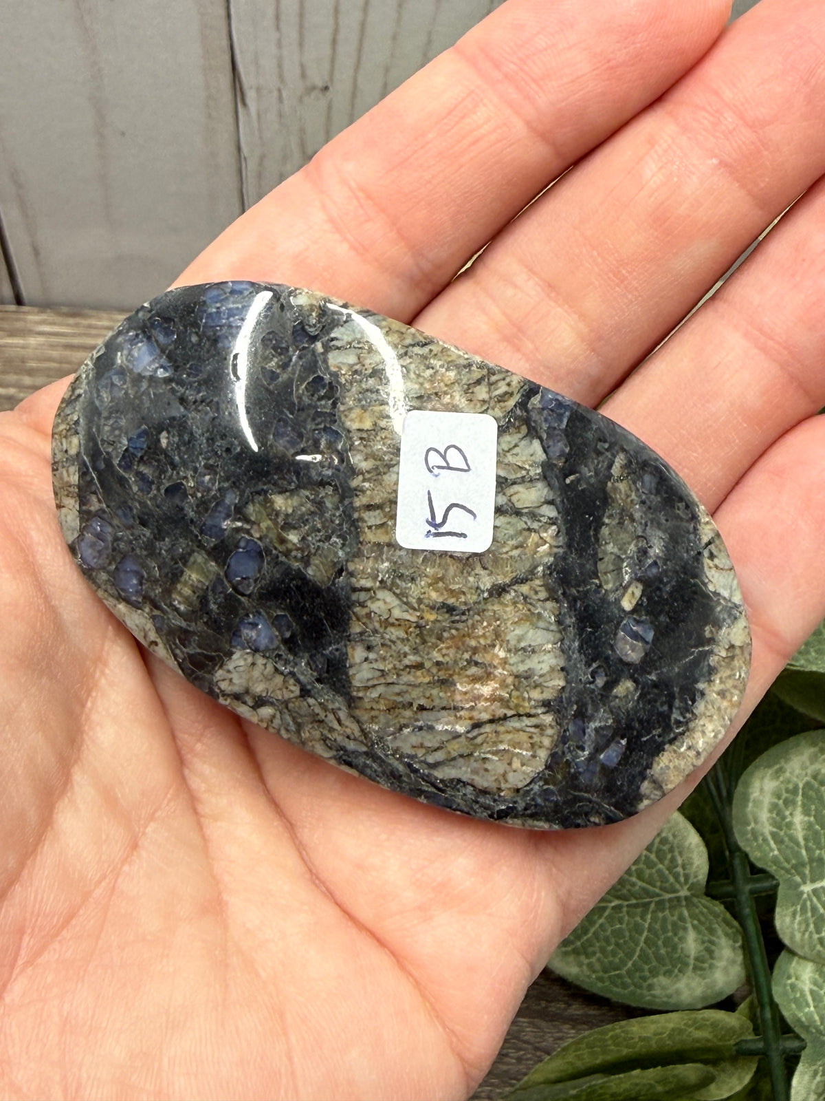 Quesera Palm Stones