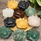 Paw Print Carvings