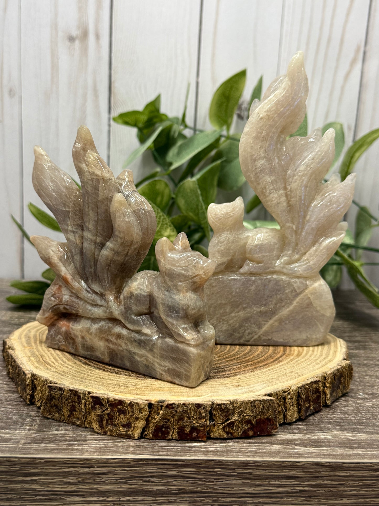 Nine Tailed Fox - Grey Moonstone
