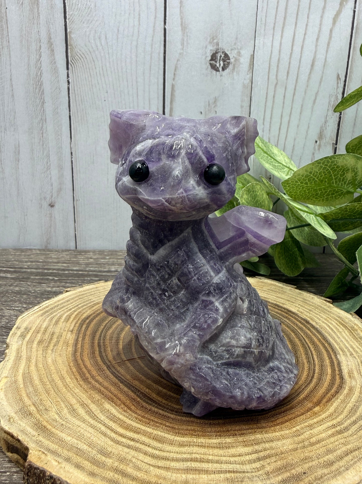 Baby Dragon - Large