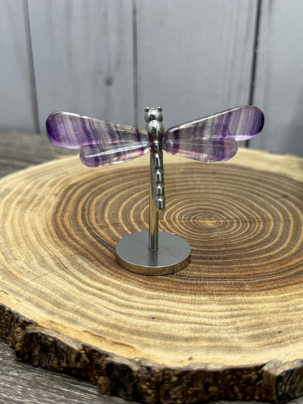 Small Dragonfly Wings on Stand - Fluorite