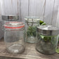 Large Herb Jars
