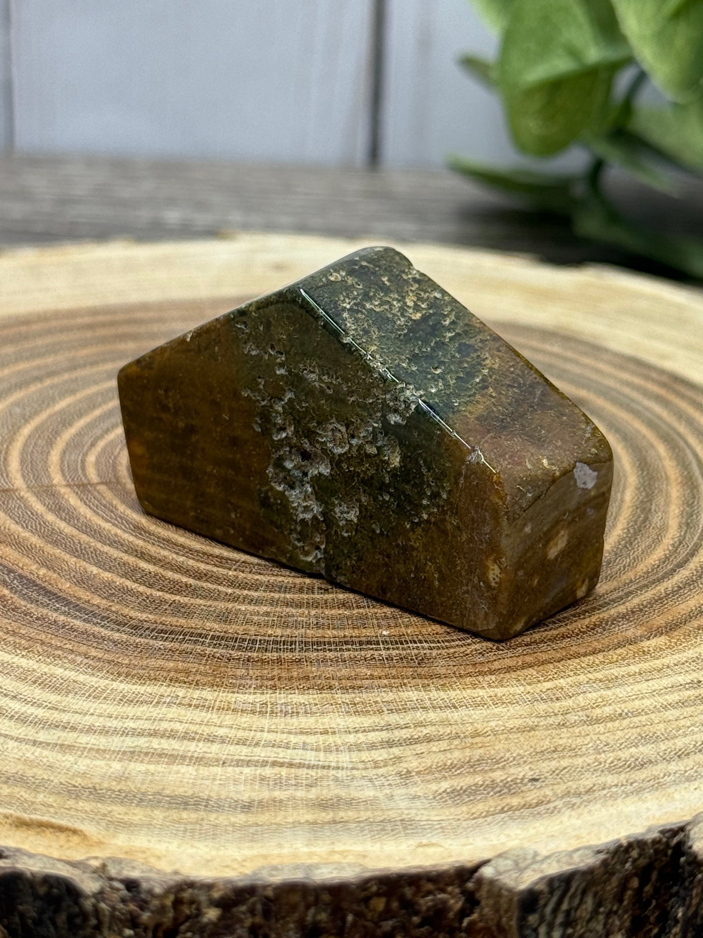 Ocean Jasper Free Form