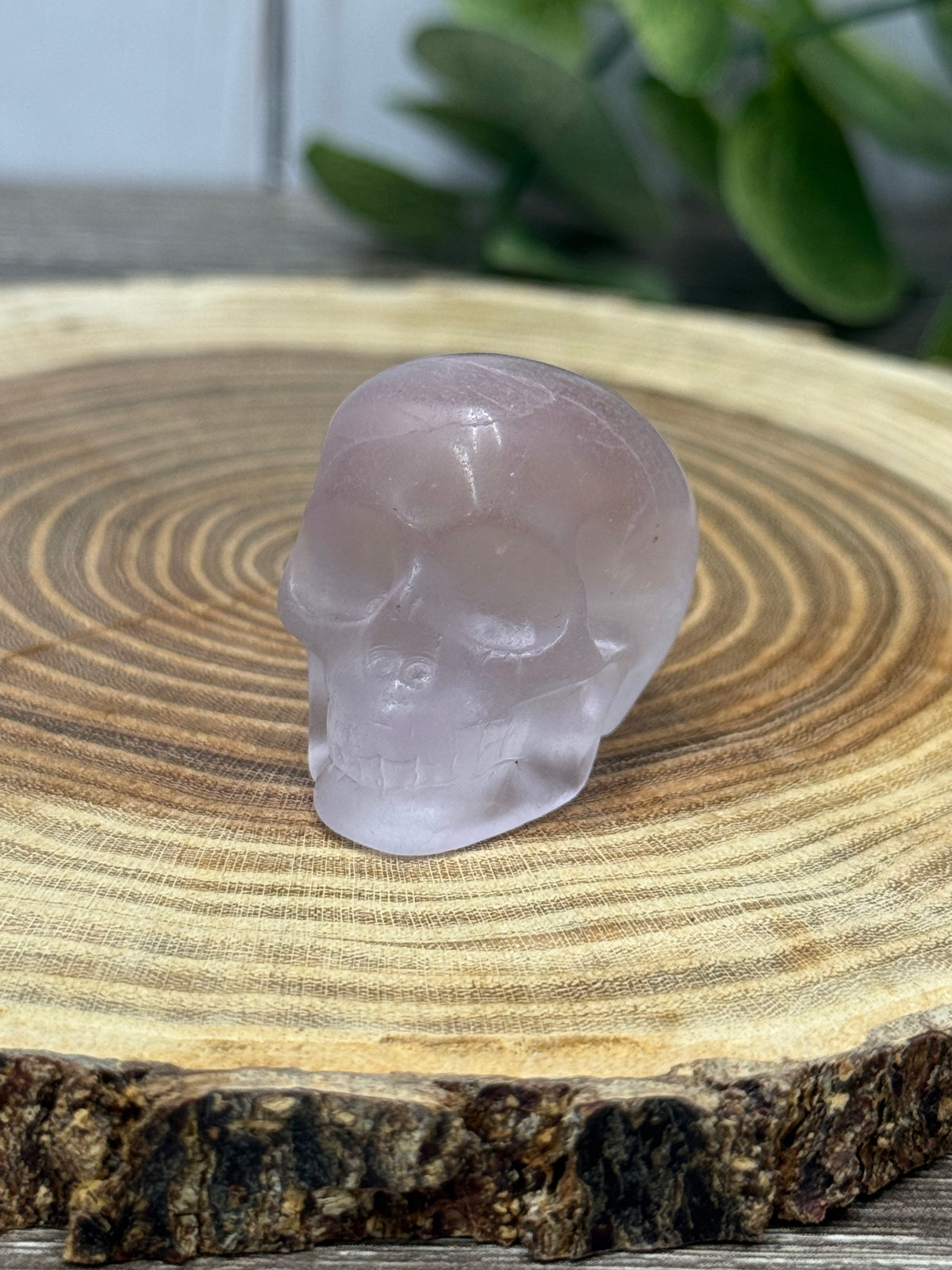 Skull Carvings - small