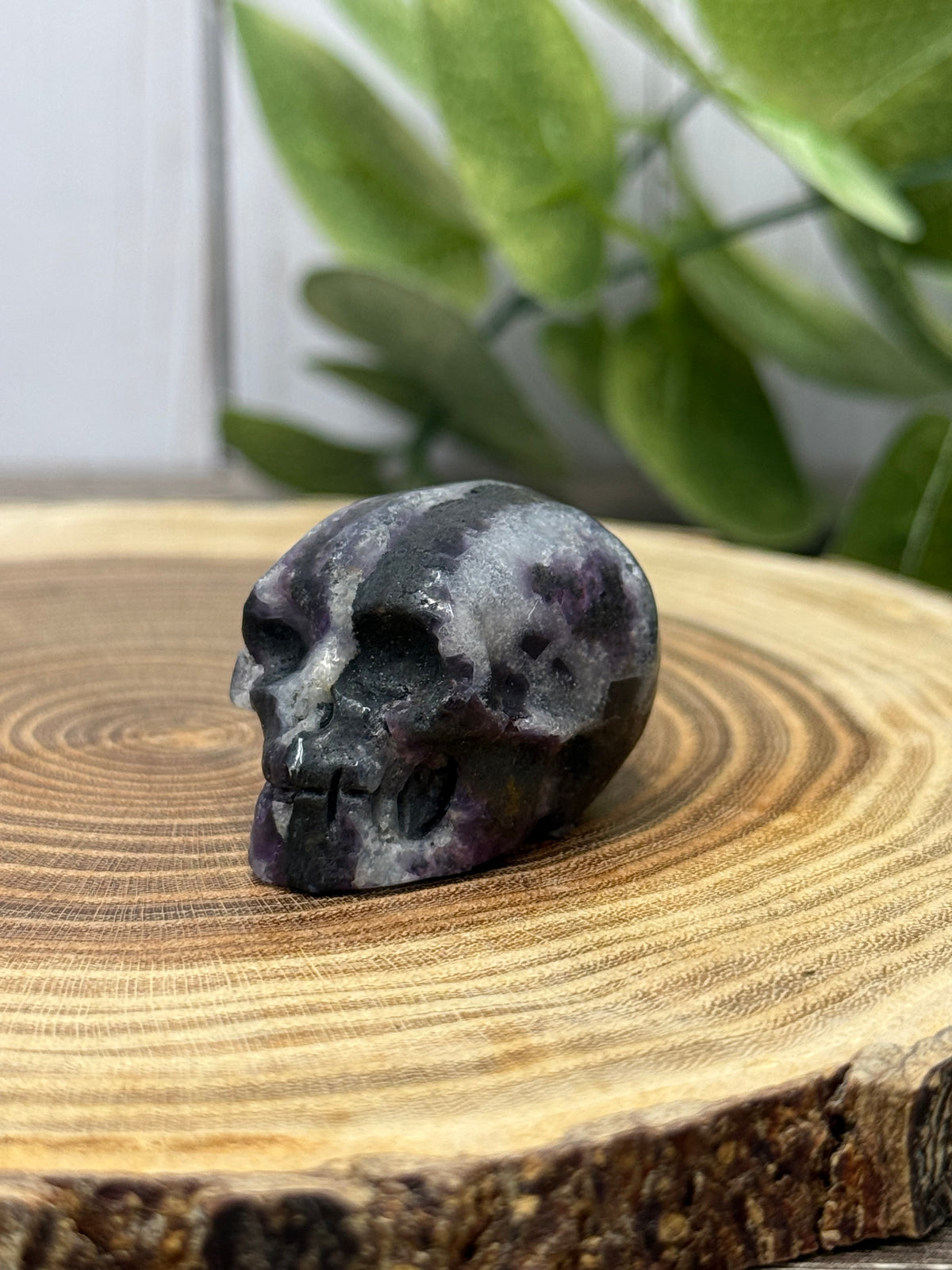 Skull Carvings - small