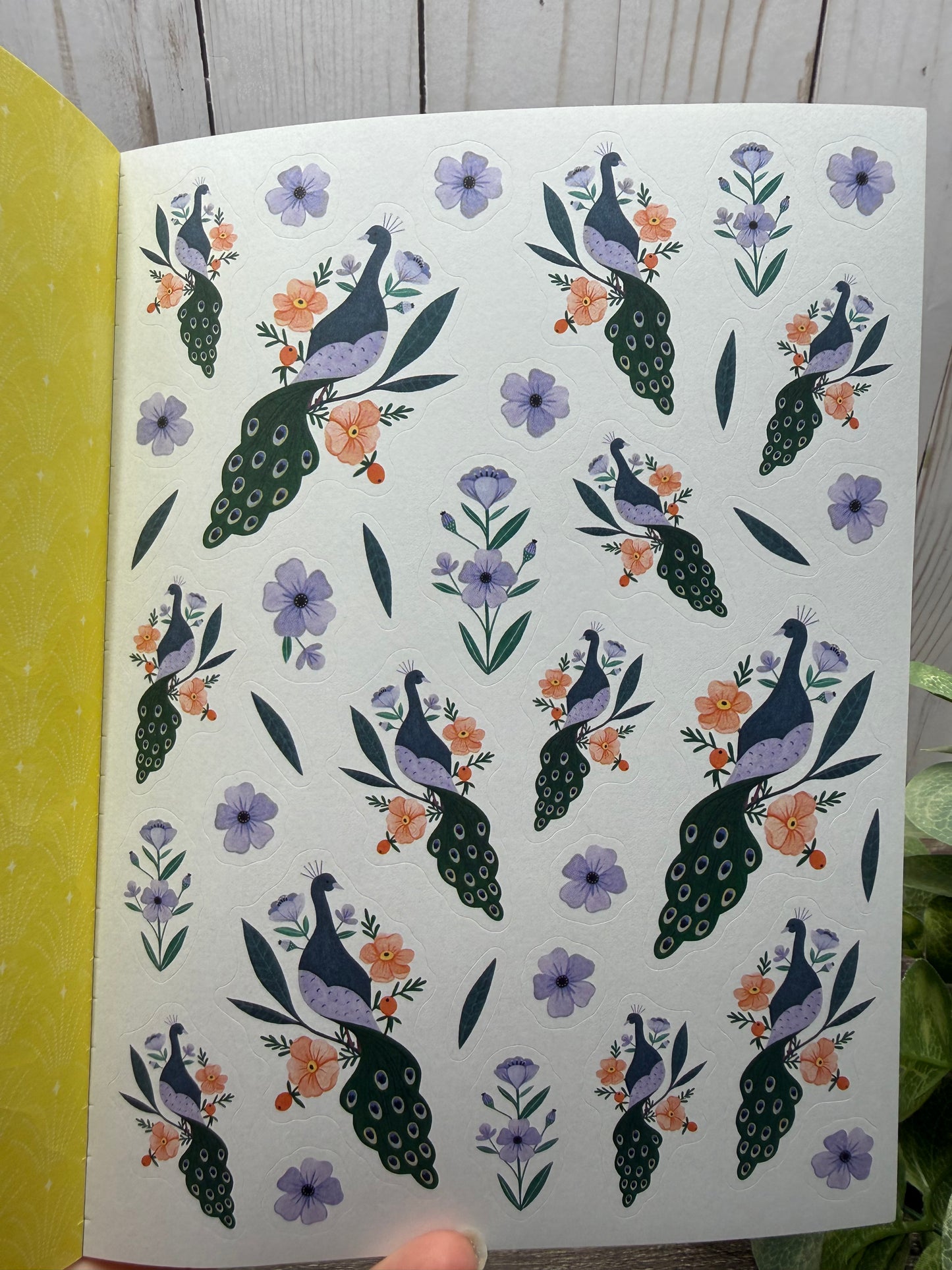 Everything is Made Out of Magic: Sticker Book