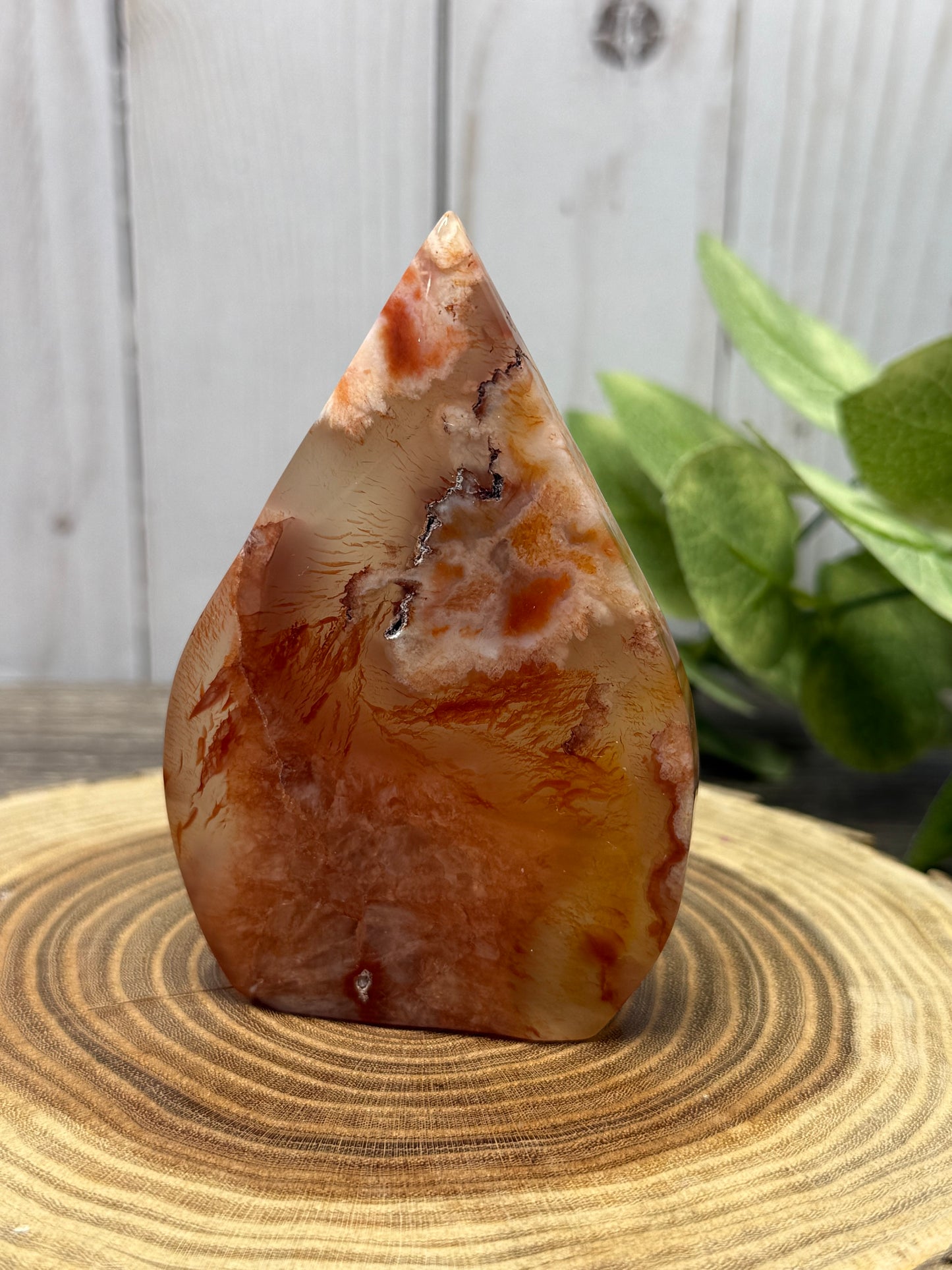Carnelian and Flower Agate Freeforms