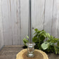 Large Tapered Candles - Silver